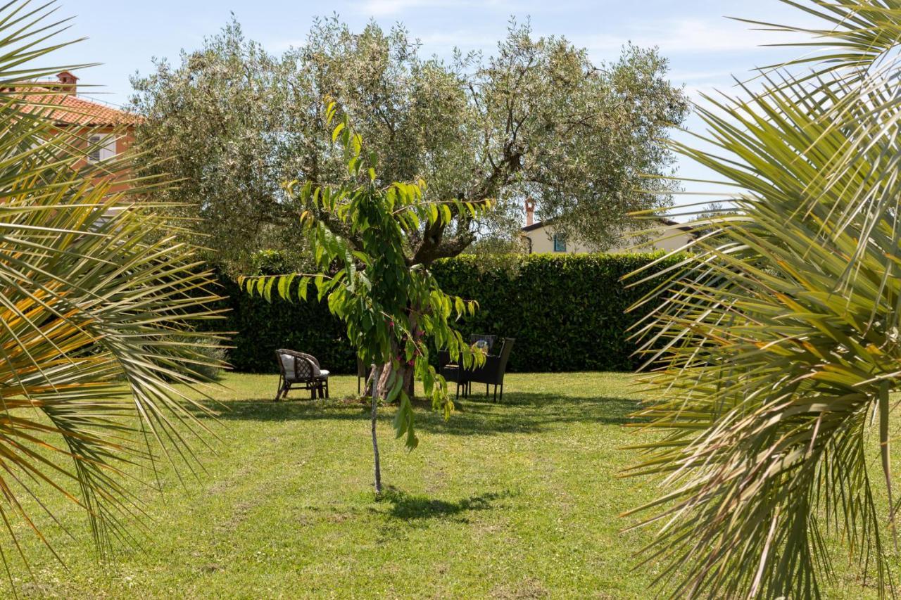 B&B Villa Oasa 1 Rovinj Eksteriør bilde